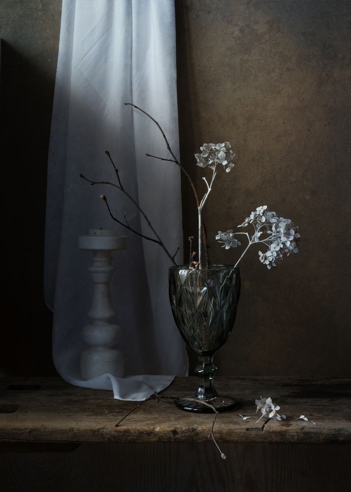 Photograph by Елена Виноградова