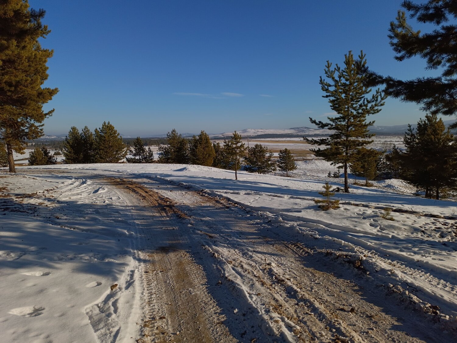 Photo #10386590