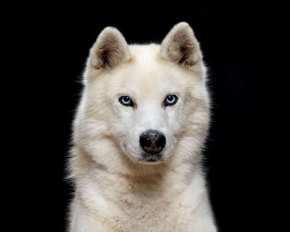 Photograph by Mònica Udina