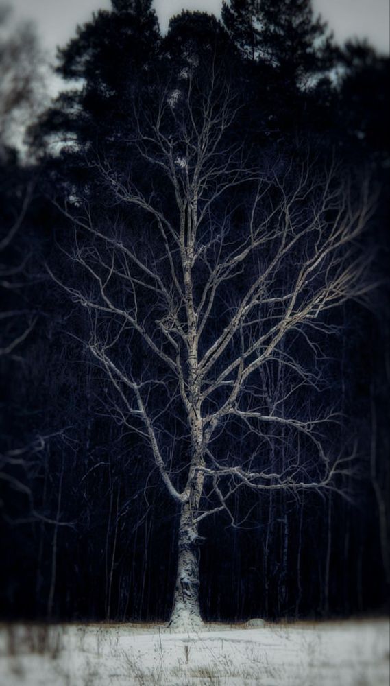 Photograph by Михайлов Юрий Анатольевич