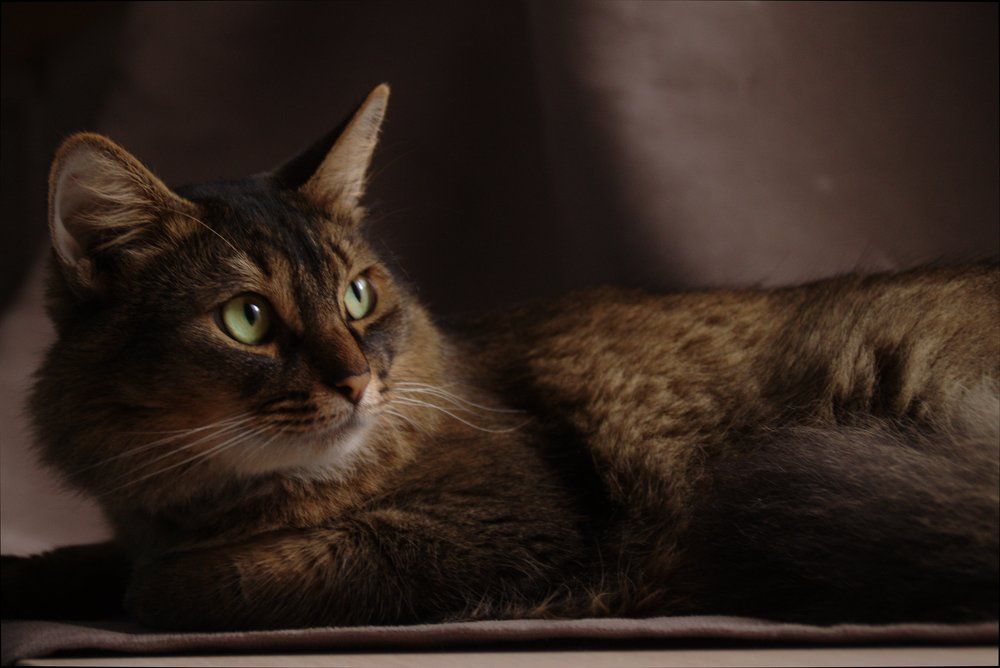 Photograph by Елена