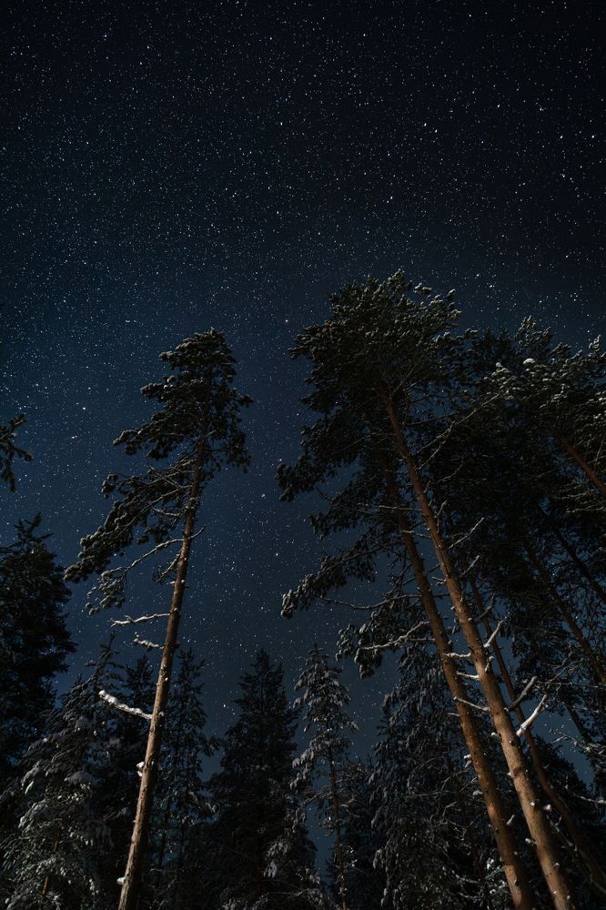 Photograph by Игорь Семеновский