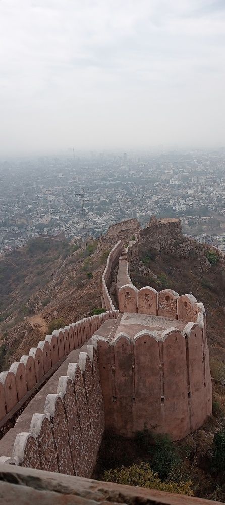 Photo #10386783