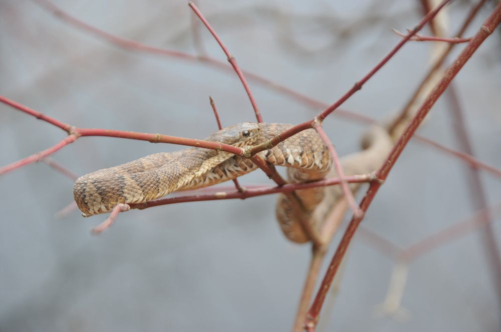 Photograph by Lyndsye Rothkopf