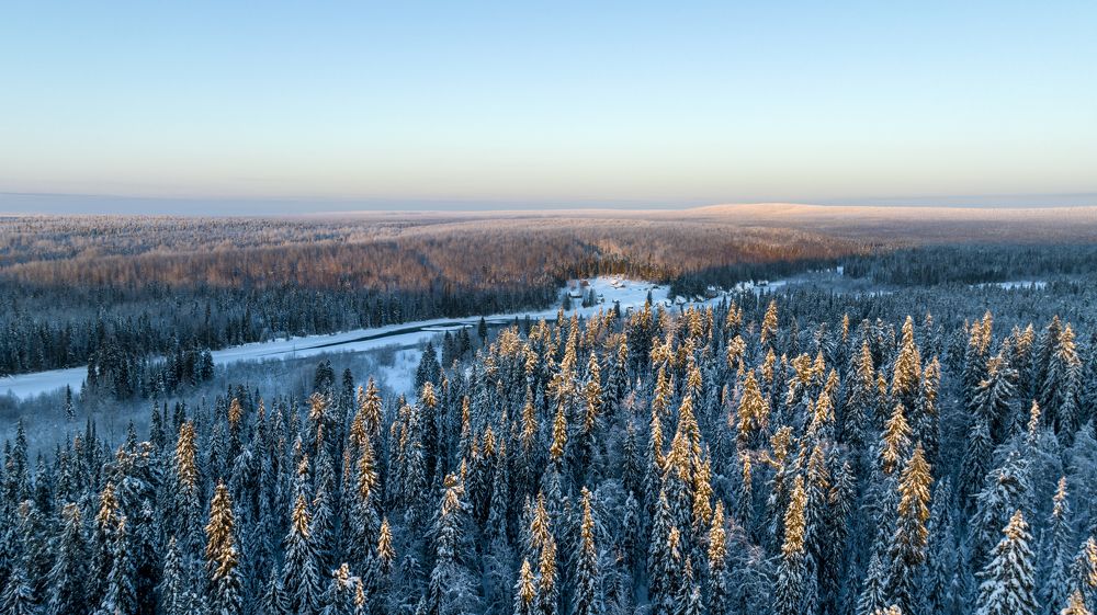 Photograph by Николай