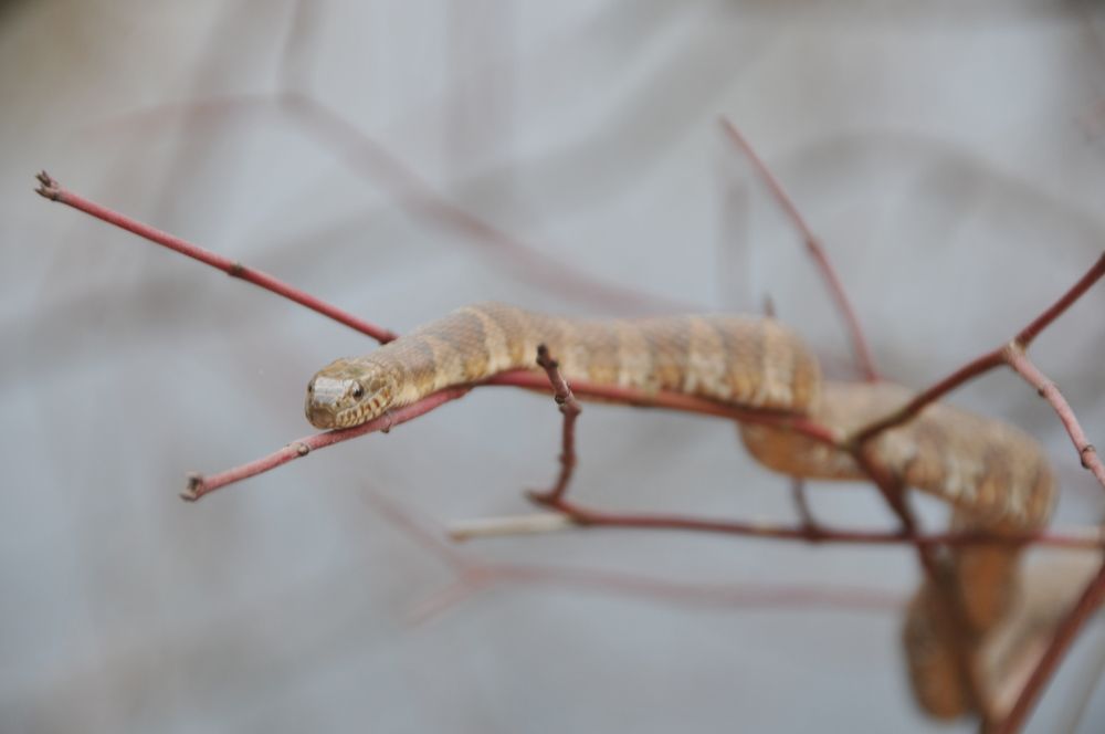 Photograph by Lyndsye Rothkopf