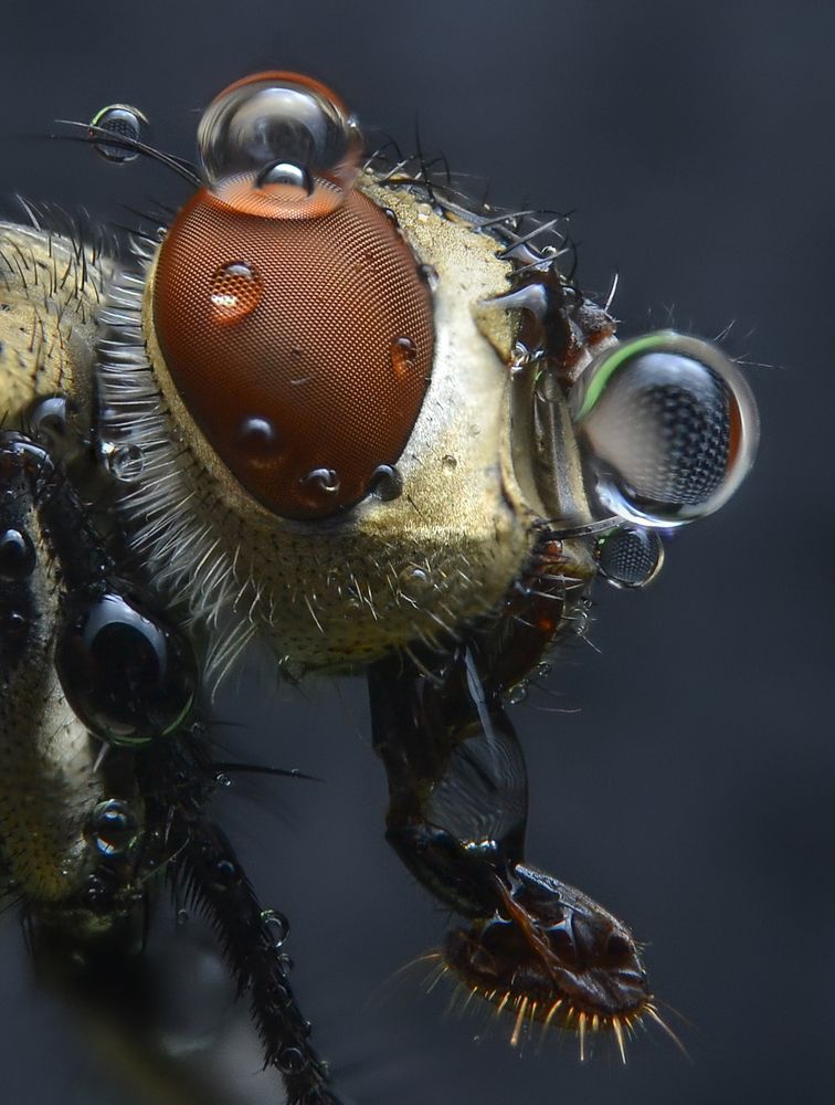 Photograph by Kasun Wickramasinghe