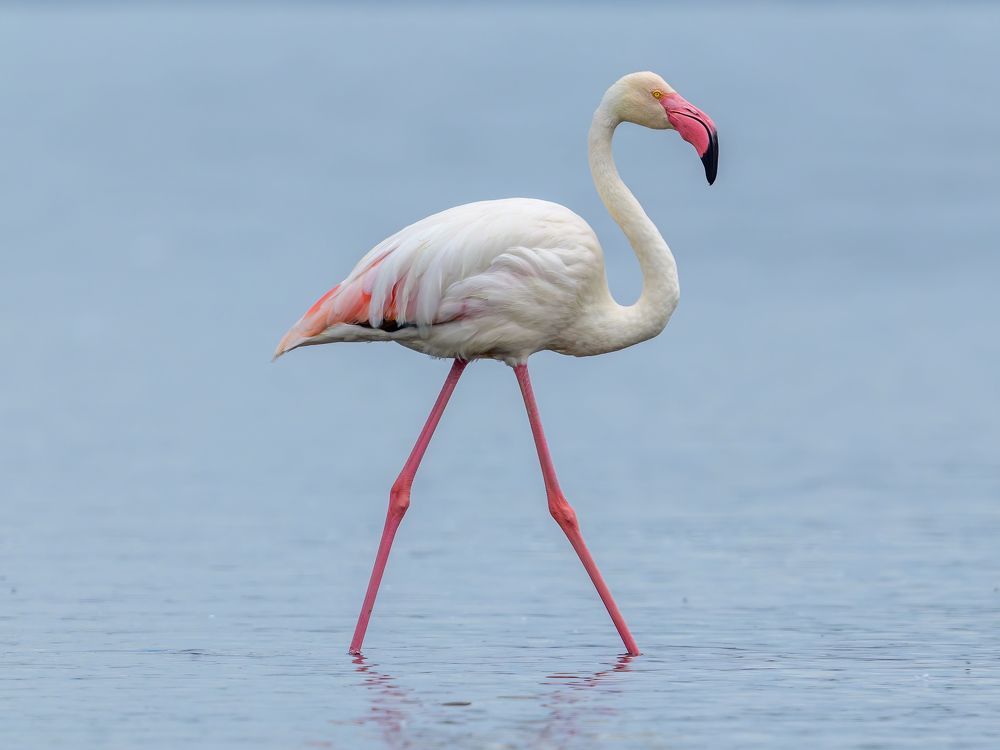 Photograph by Пупонин Сергей