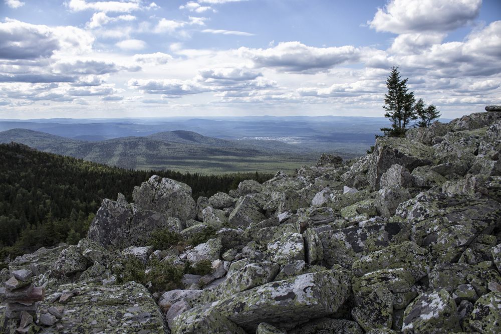 Фотография автора Веста Ягужинская