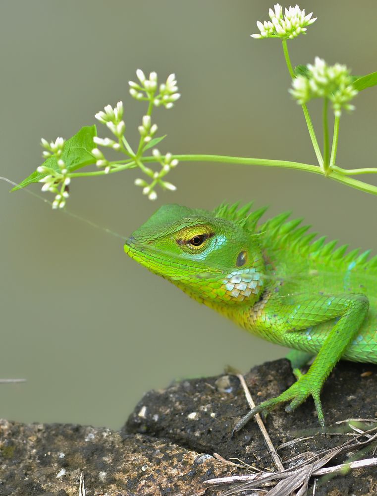 Photograph by Kasun Wickramasinghe