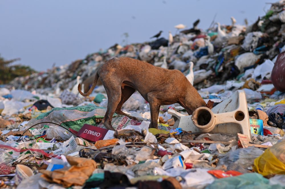 Photograph by GOVIND VISWANATH