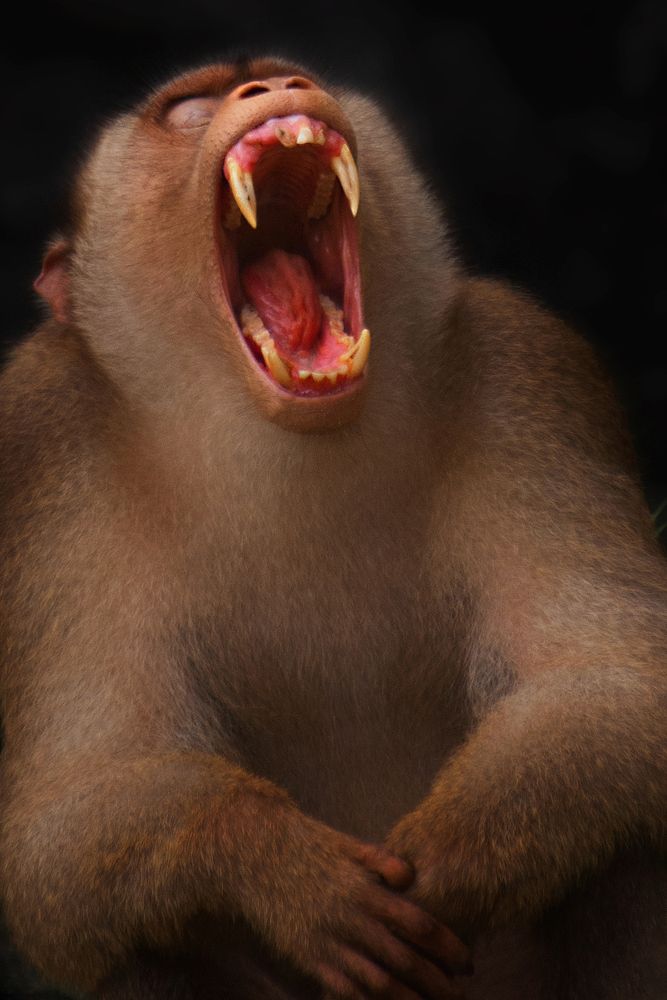 Photograph by Sheikh Nafis