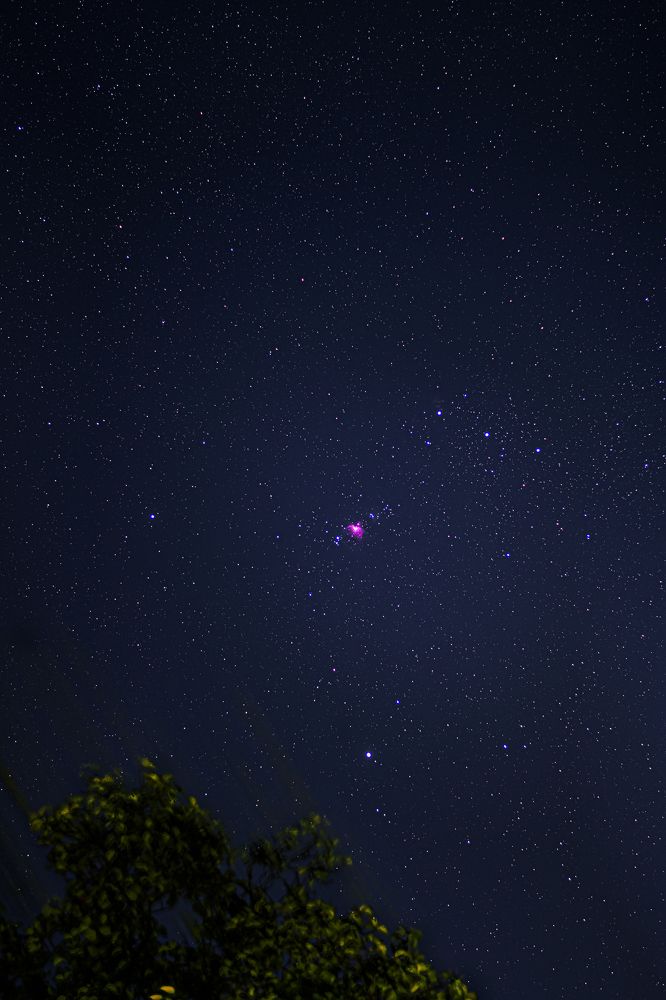 Photograph by GOVIND VISWANATH