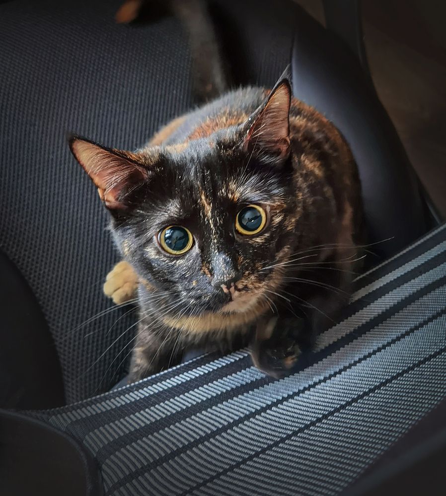 Photograph by Inna Ivanova