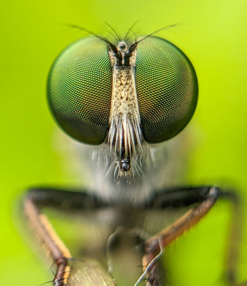 Photograph by Ajeesh A