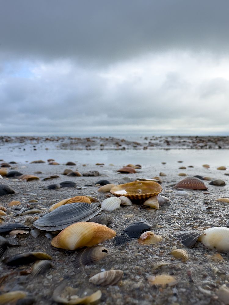 Каспийское побережье