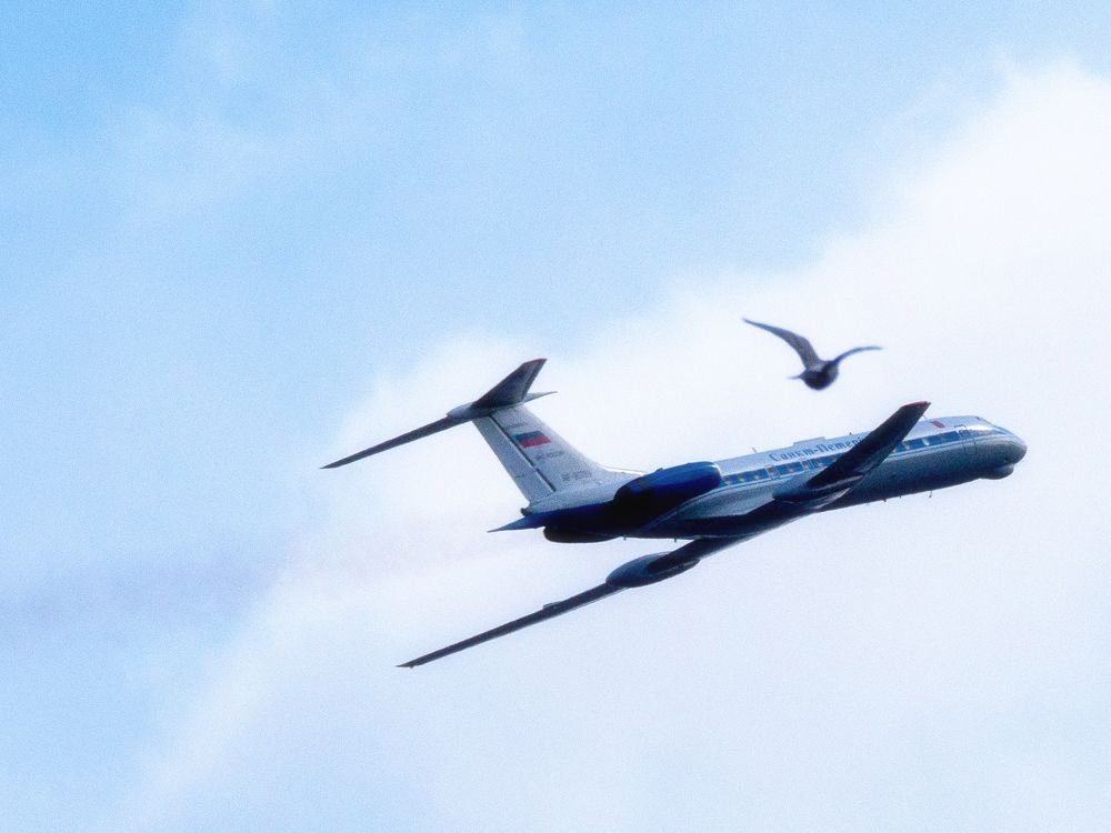 Лети, птичка