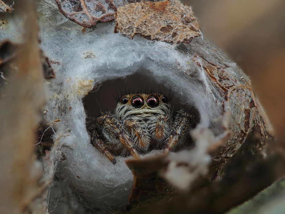 Photograph by Максим Кошелев