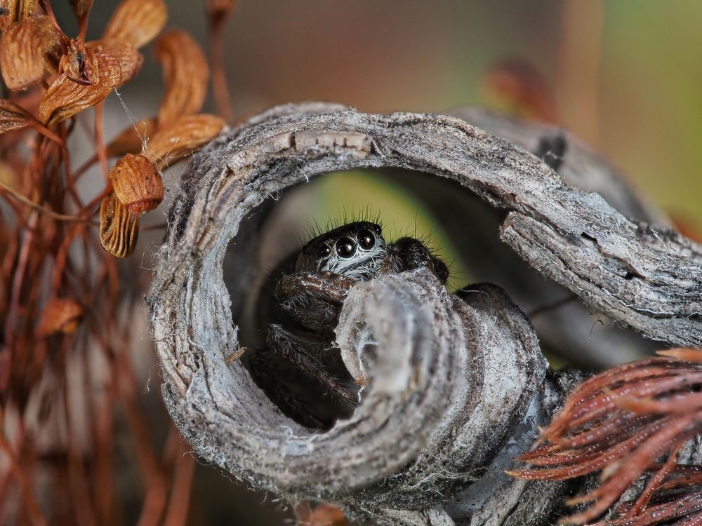 Photograph by Максим Кошелев