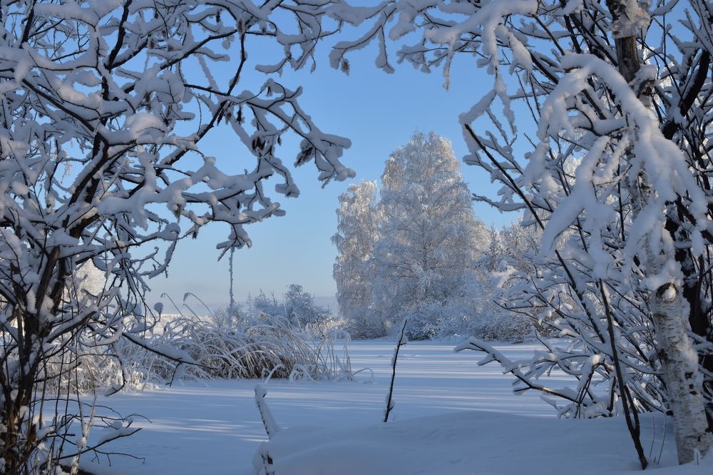 Photograph by Владимир Звягин