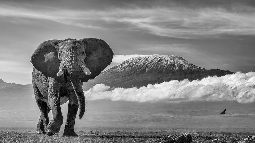 Photograph by Karthick Sridharan