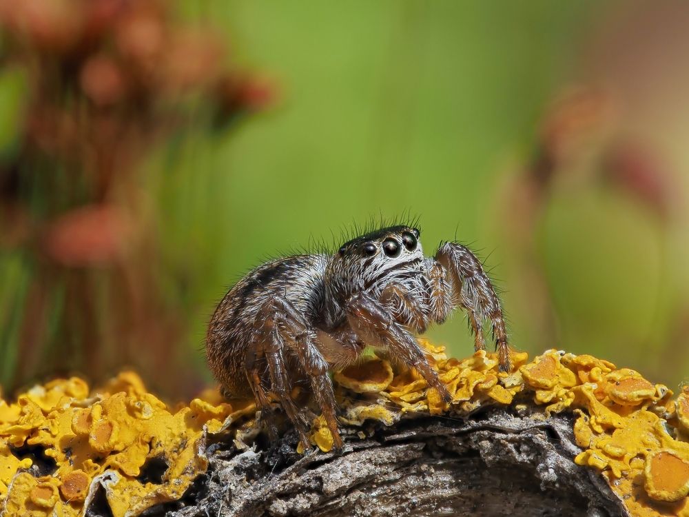 Photograph by Максим Кошелев