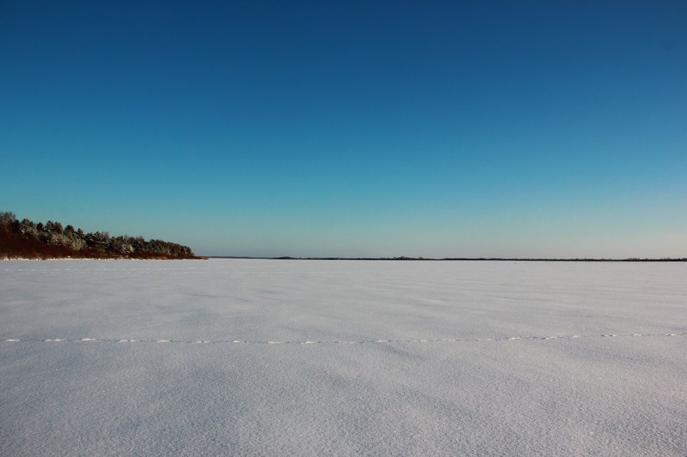 Photograph by Вера Боржеева
