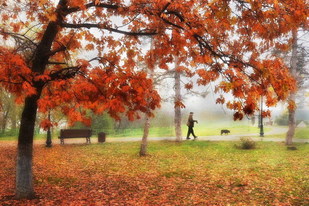 Photograph by  Владимир