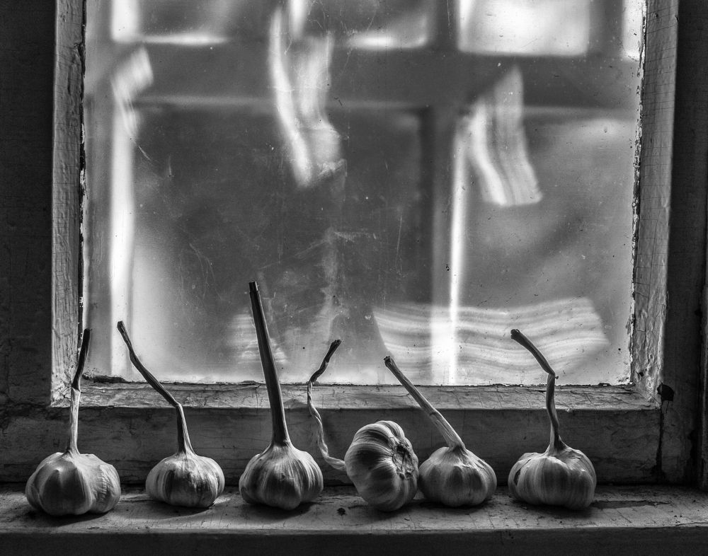 Photograph by Владислав