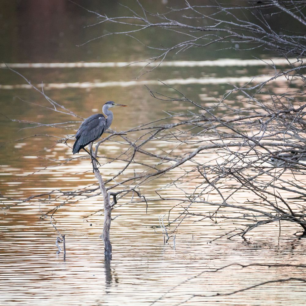 Photograph by Antonis Papaconstantinou