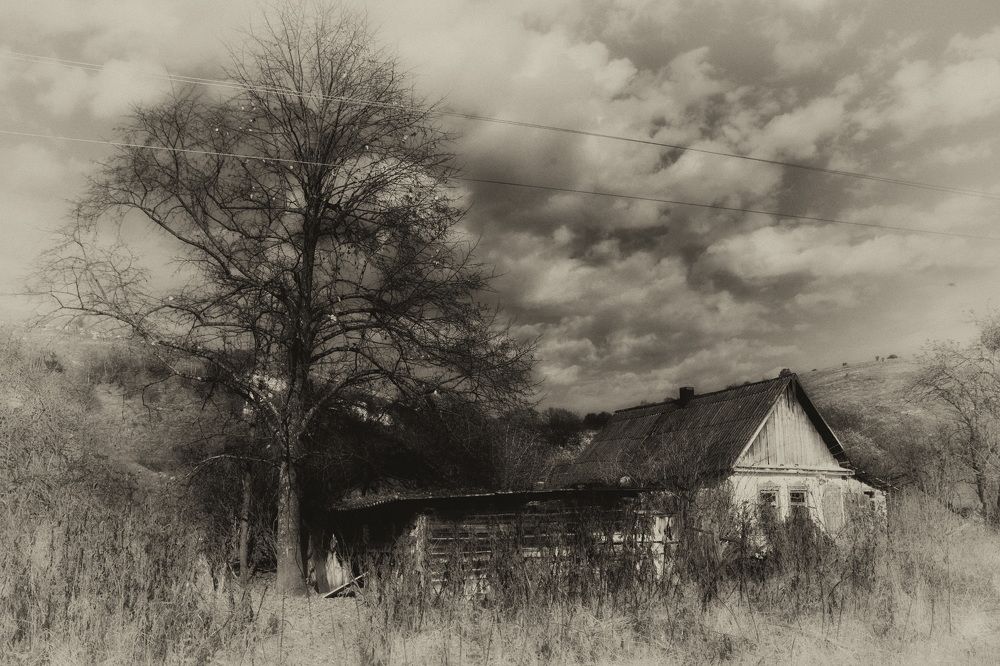 Photograph by  Владимир