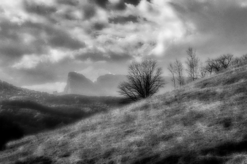 Photograph by  Владимир