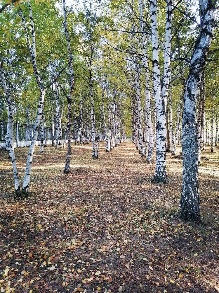 Photograph by Татьяна Бешенкина