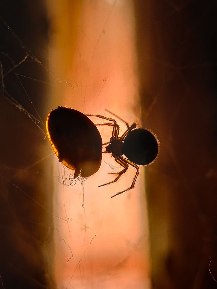 Photograph by Praveen