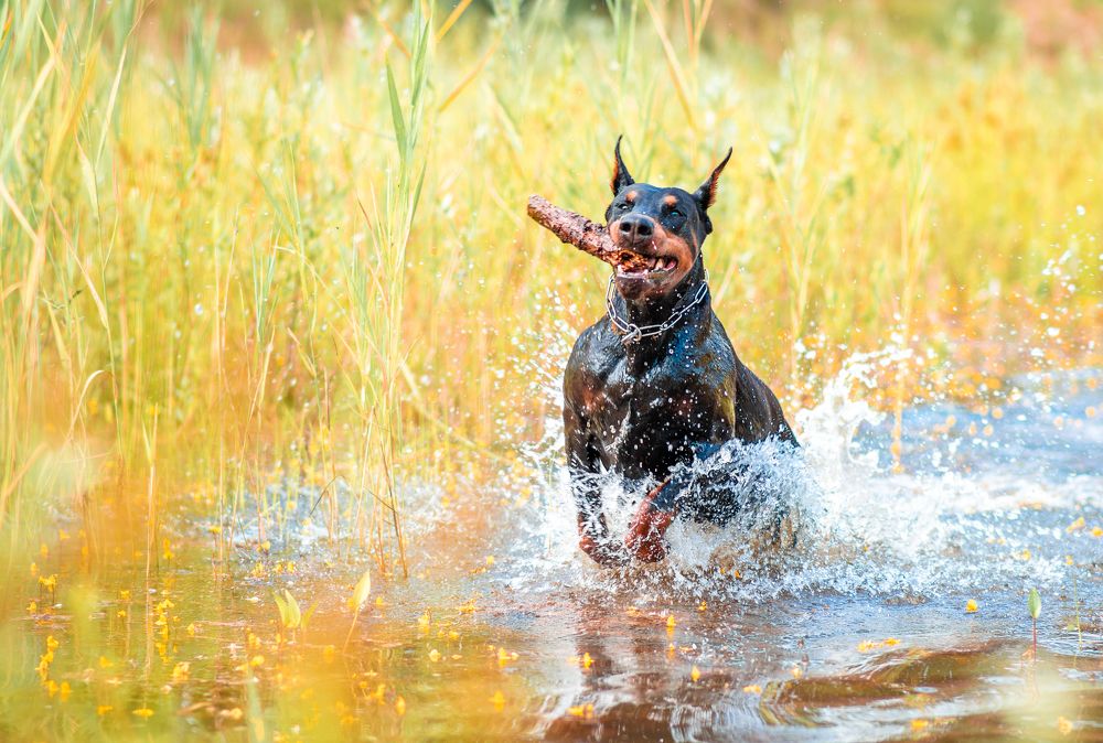 Photograph by Екатерина Лебедева