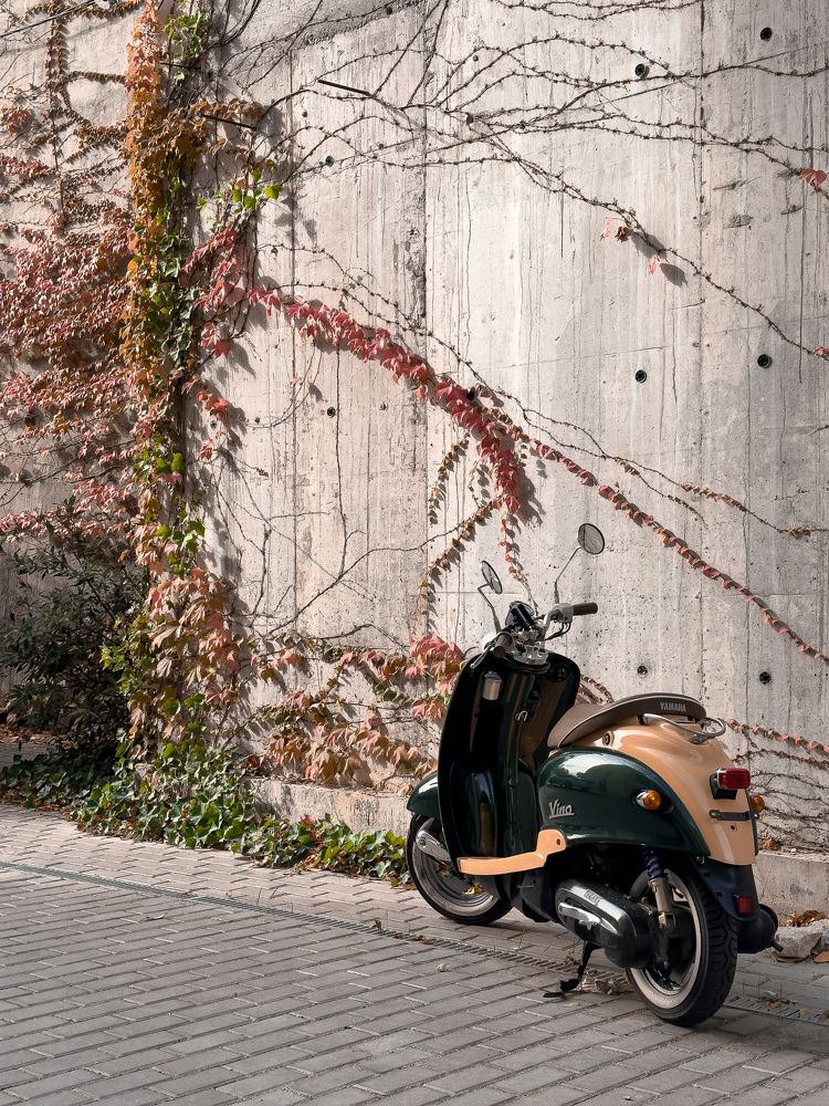 Photograph by Кристина Кораблина