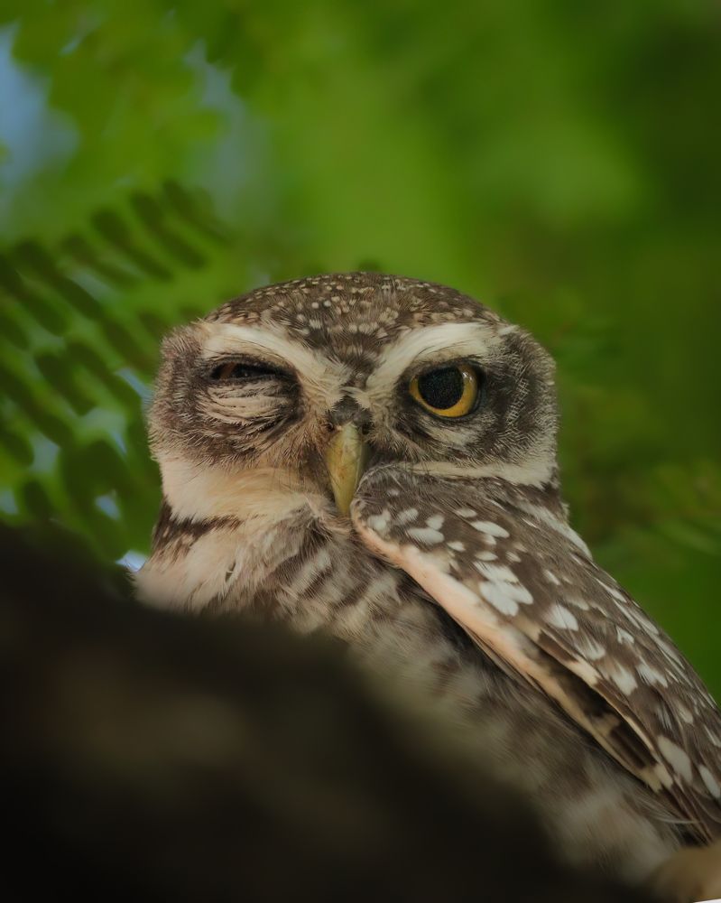 Photograph by TIJIN V S