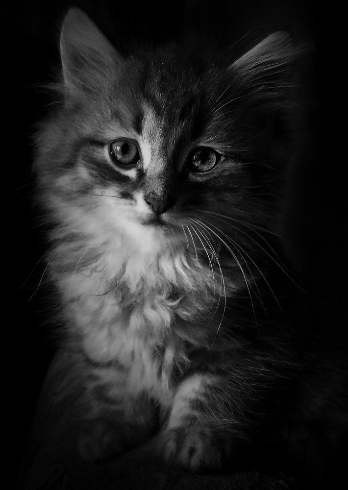 Photograph by Зоя Быкова