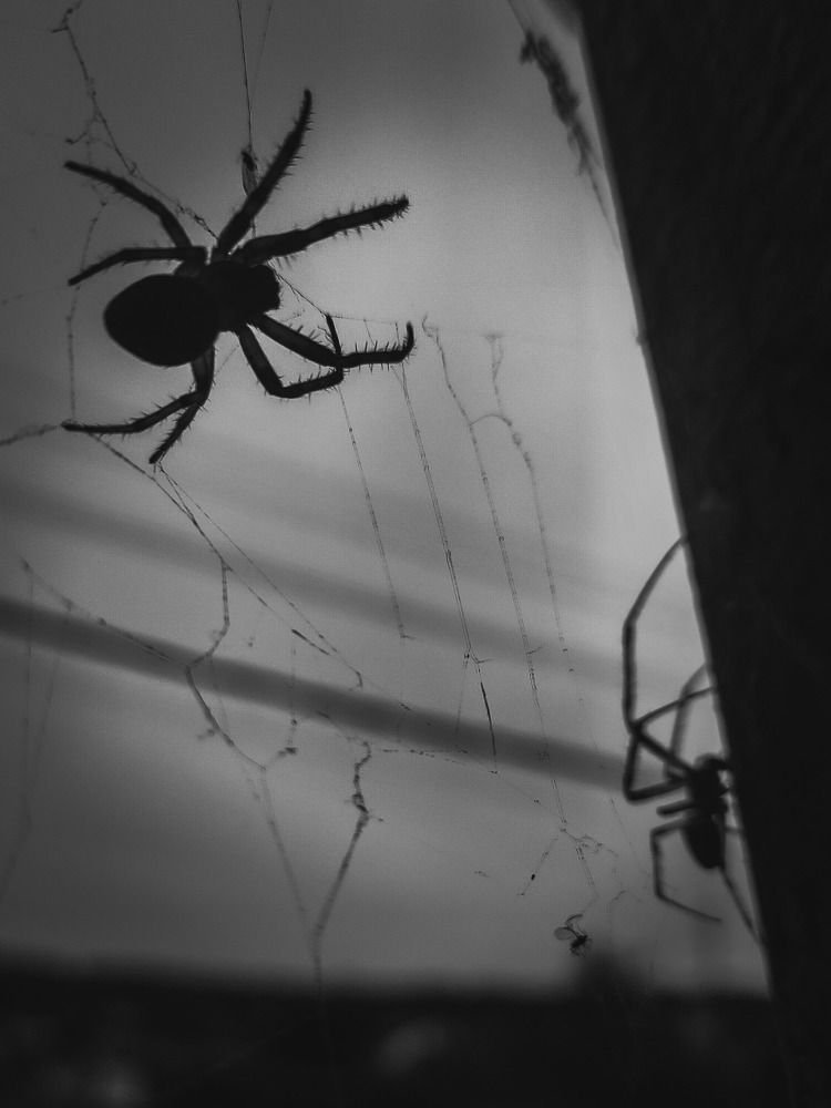 Photograph by Игорь