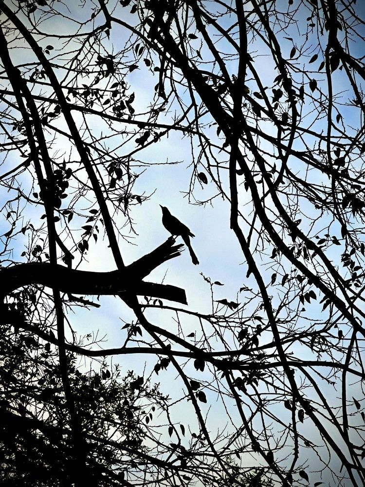 Photograph by Medina de la Campa Belen