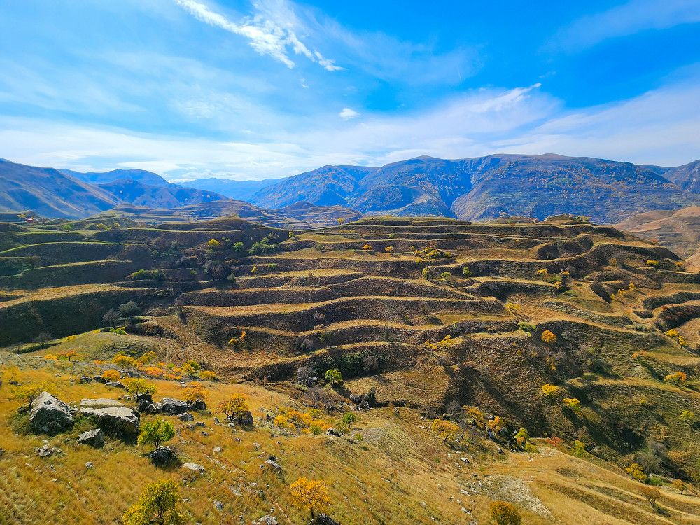 Photograph by Андрей Пшеничников