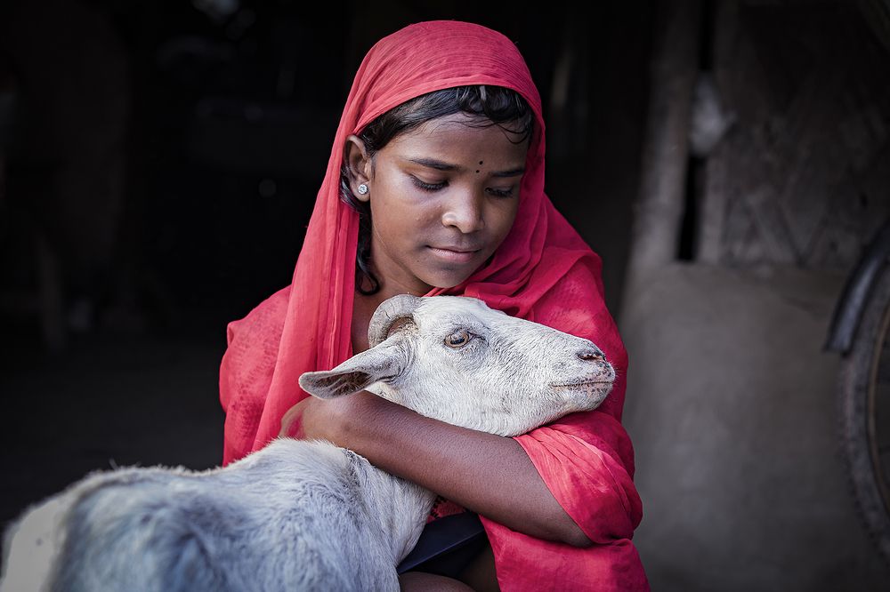 Photograph by anjan ghosh