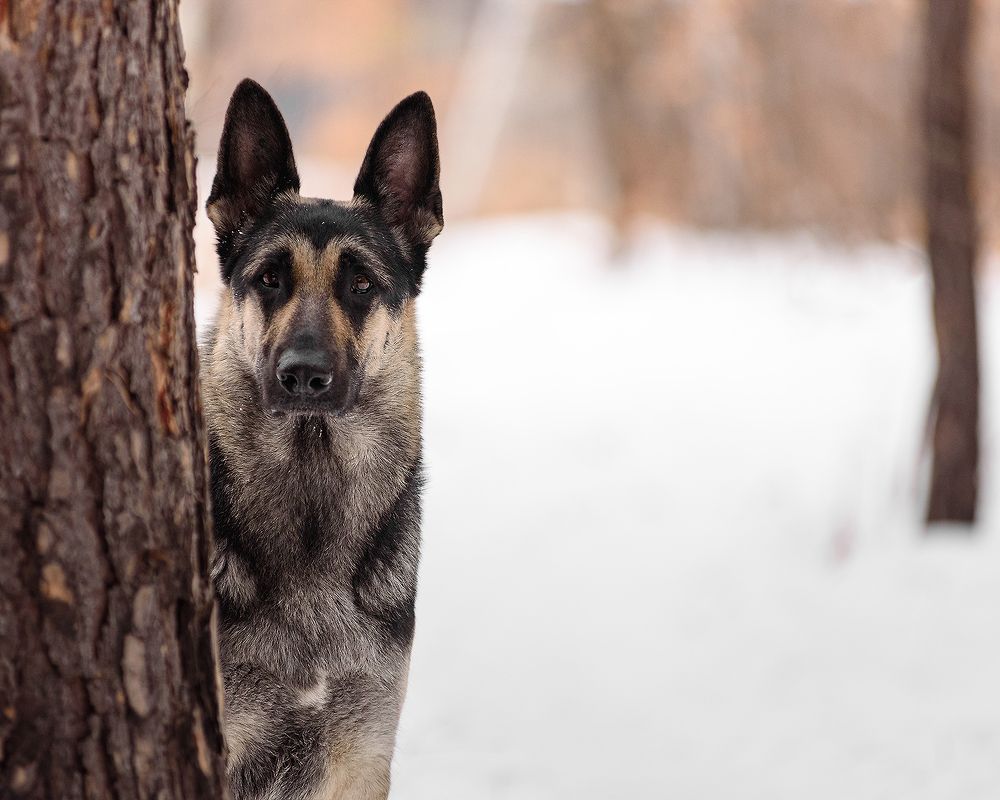Photograph by Виктория Сафонова