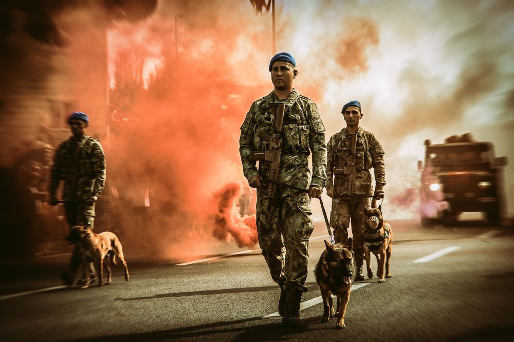 Photograph by DAMOUN POURNEMATI