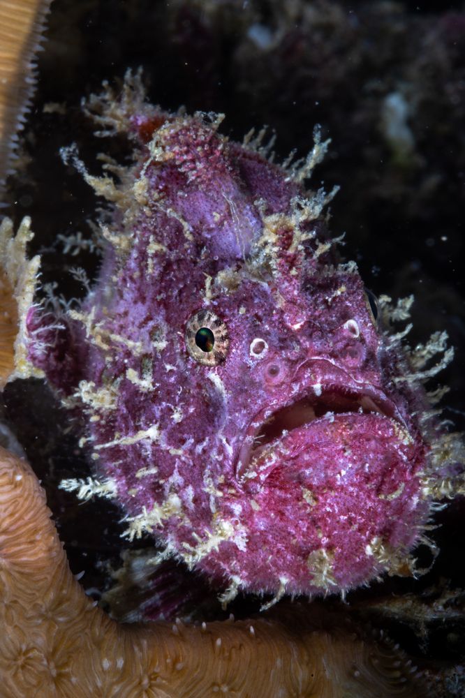 Photograph by Juan Camilo Mora Parra