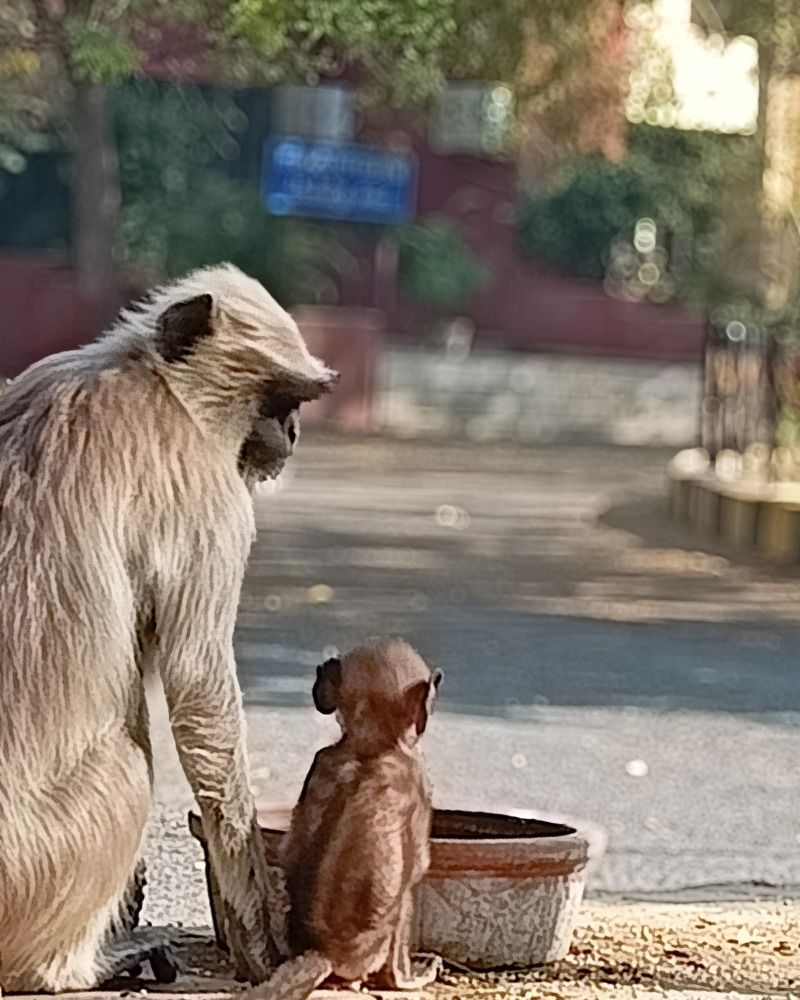 Photograph by Shubham Rathof