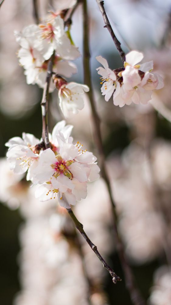 Photograph by Кристина Кораблина