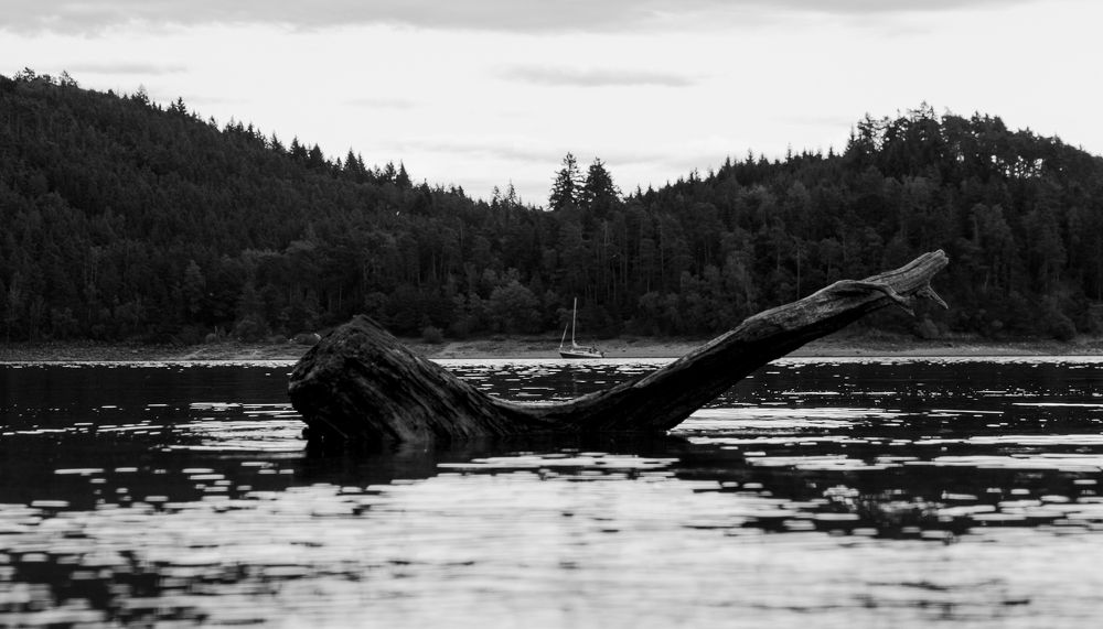 Photograph by Luis Francisco Bravo Olazabal