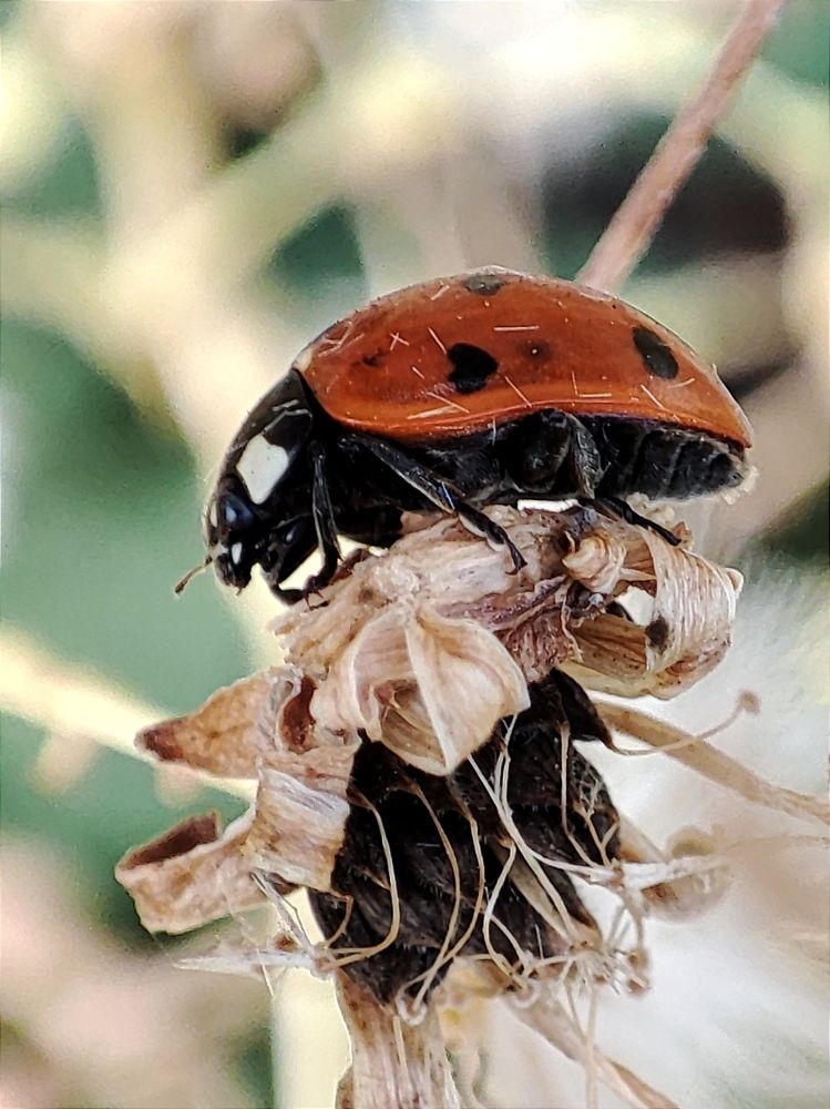 Photograph by Galina Novichkova