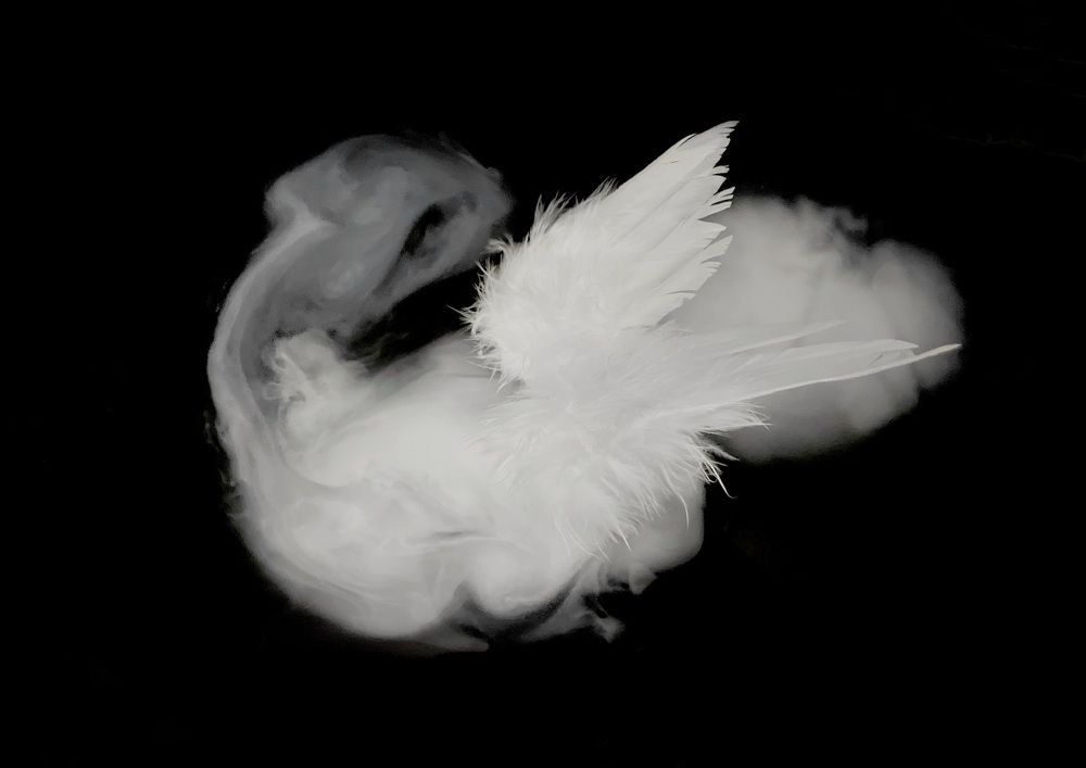 Фотография автора Татьяна Жорова